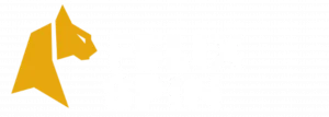 felixspin